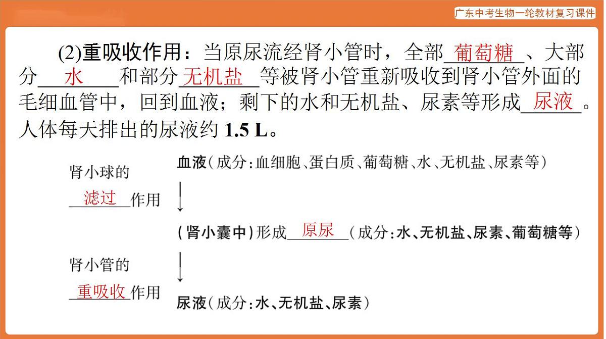 17824208第8页