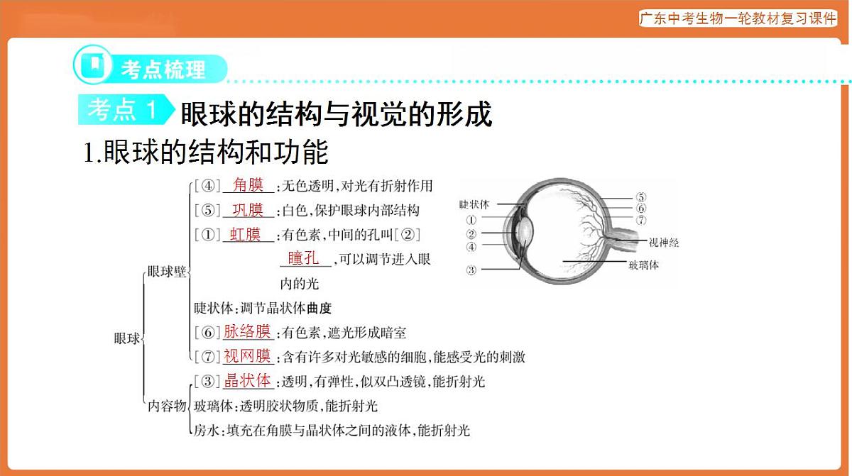 17824209第5页
