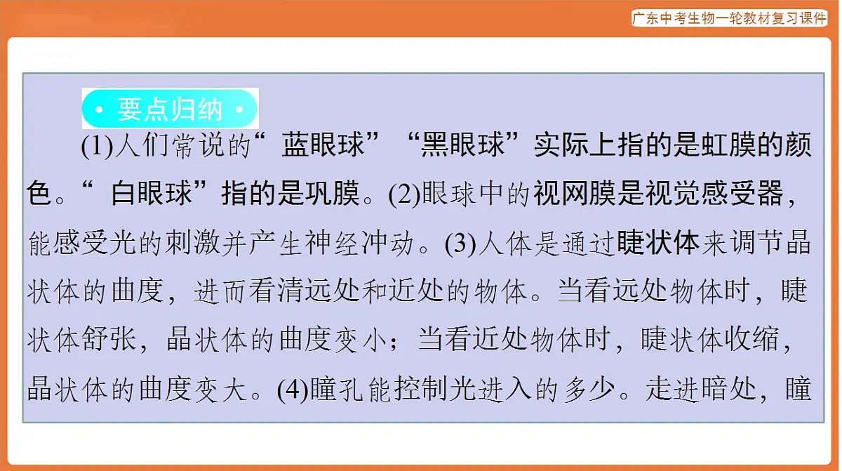 17824209第6页