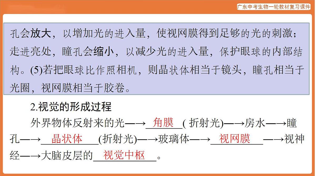 17824209第7页
