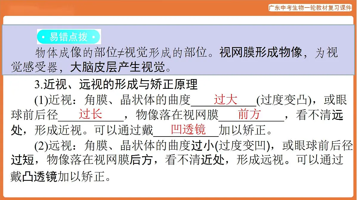 17824209第8页