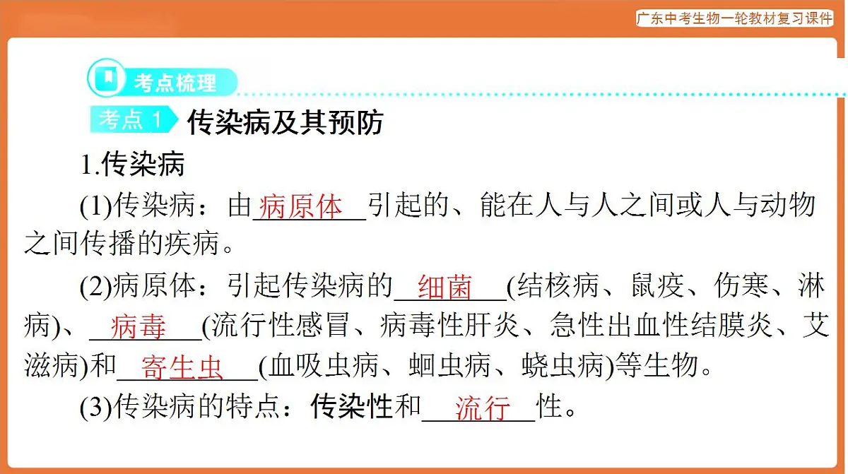 17824210第4页