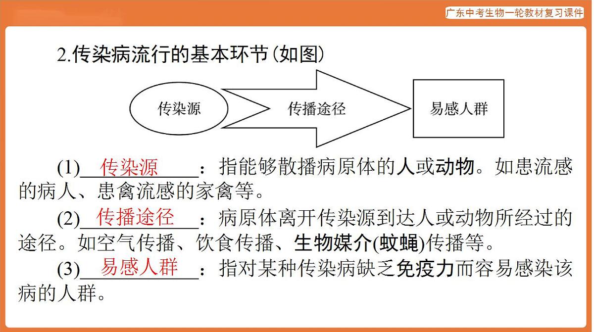 17824210第5页