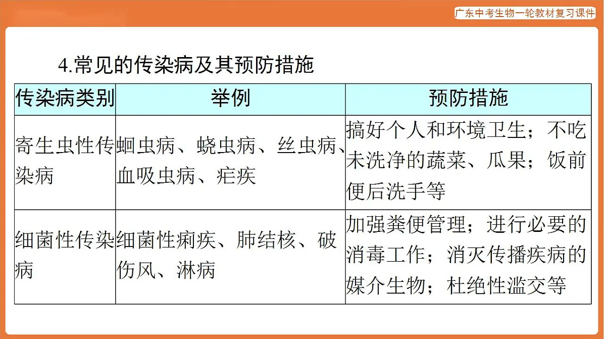17824210第8页