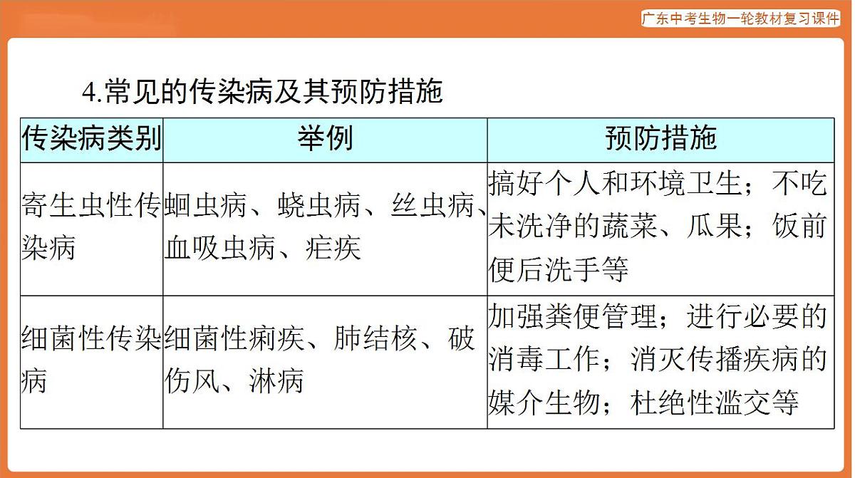17824210第8页