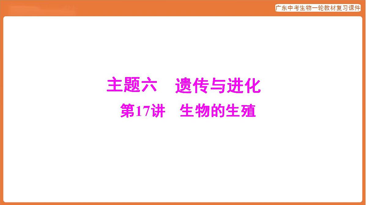 17824211第1页