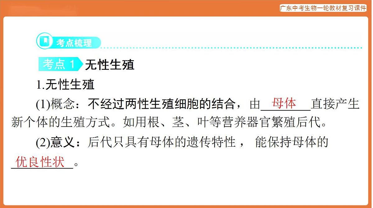 17824211第3页