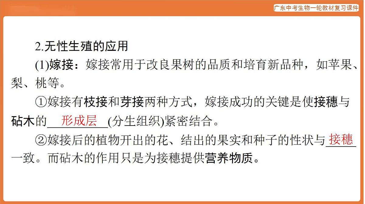 17824211第4页