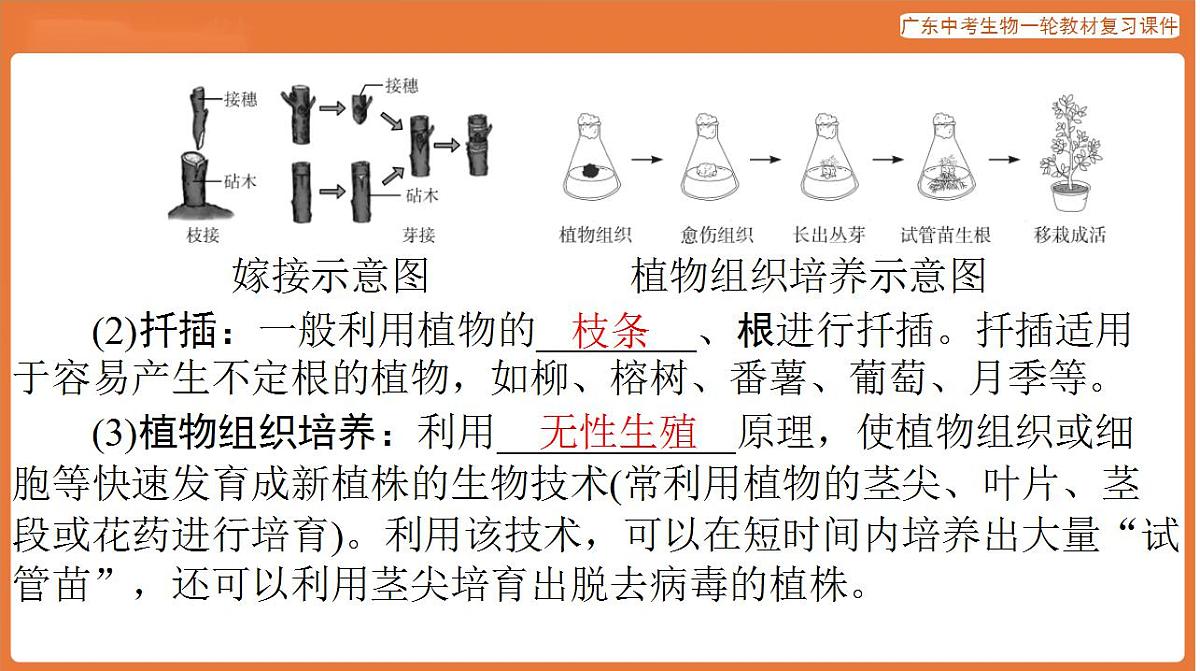 17824211第5页
