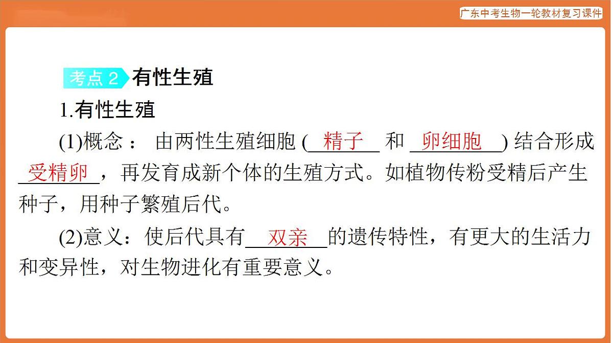 17824211第6页