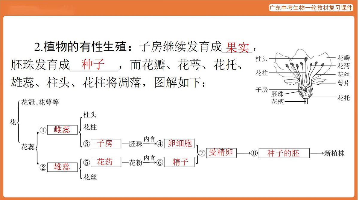 17824211第7页