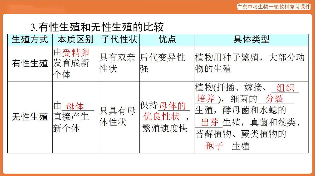 17824211第8页