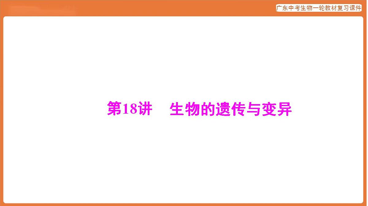 17824212第1页