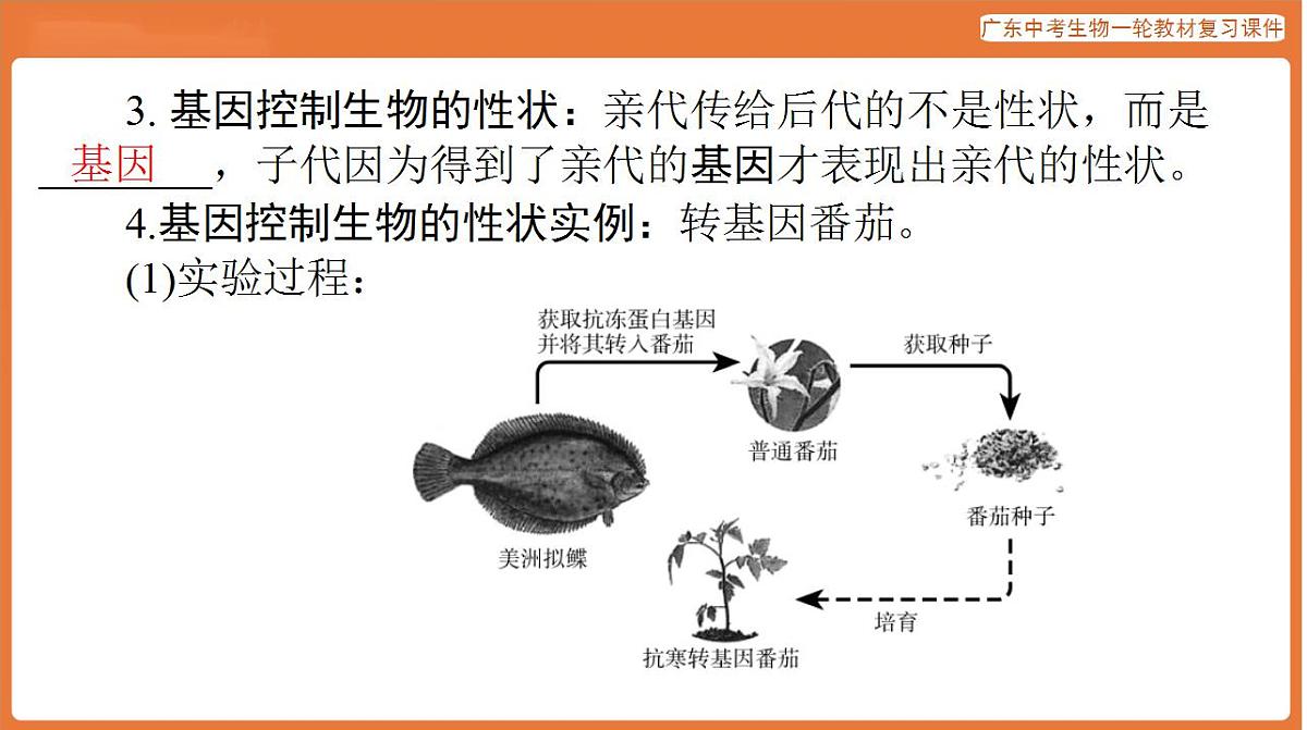 17824212第5页