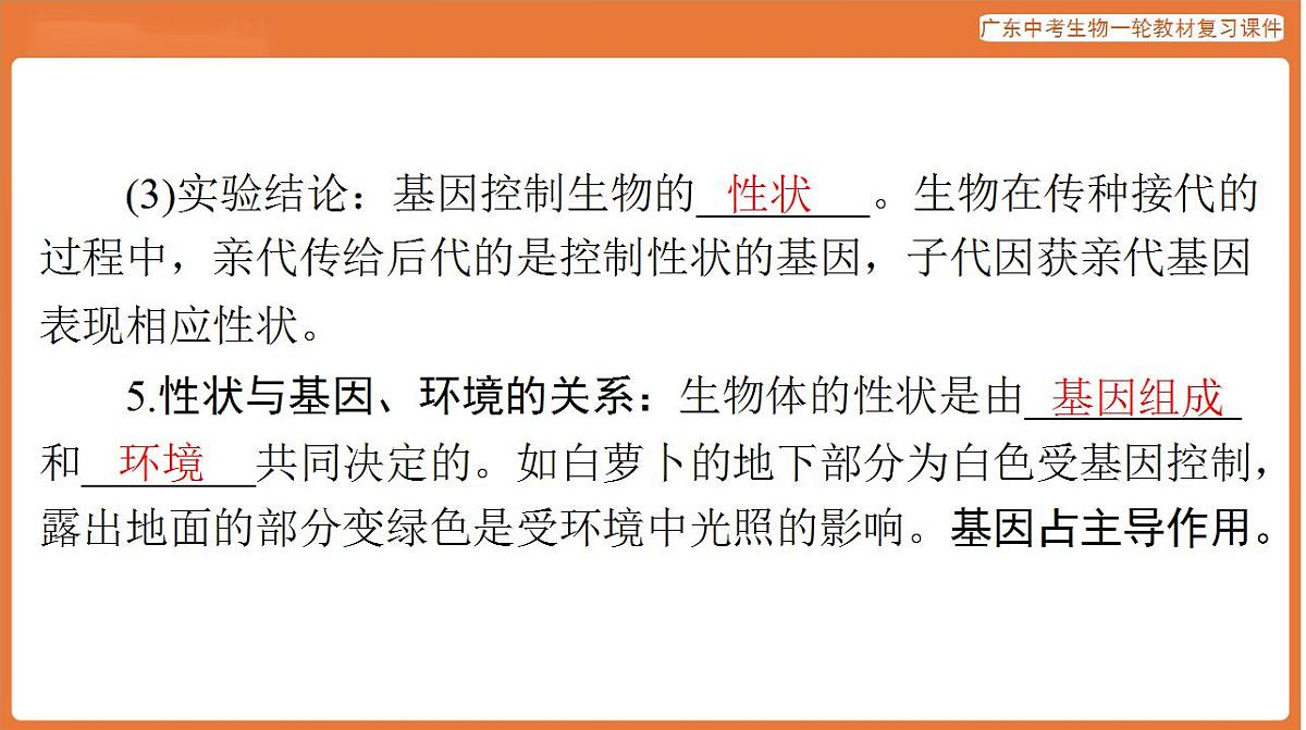 17824212第7页