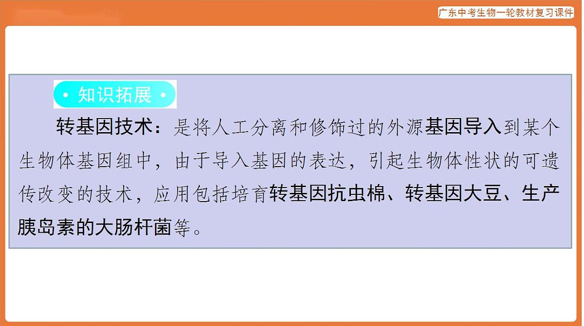 17824212第8页