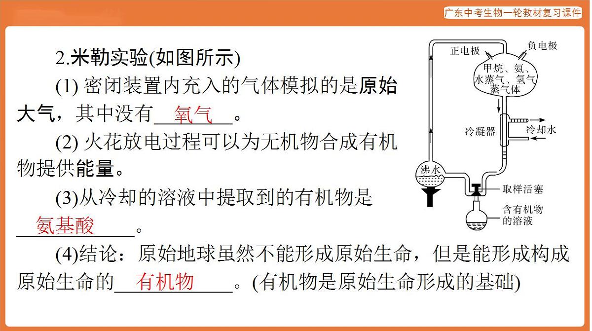 17824213第5页
