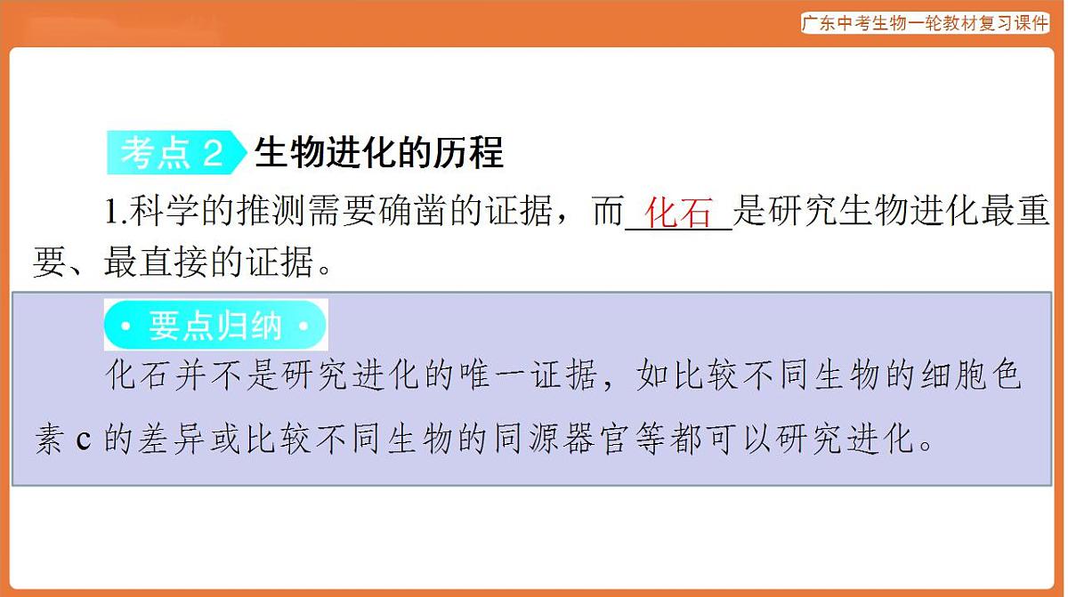 17824213第8页