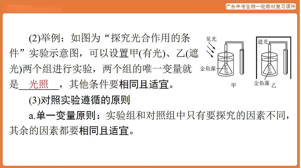 17824214第4页