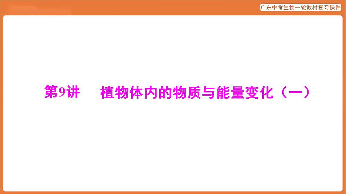 17824215第1页