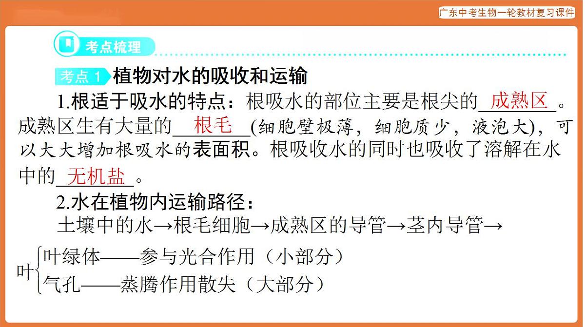 17824215第3页