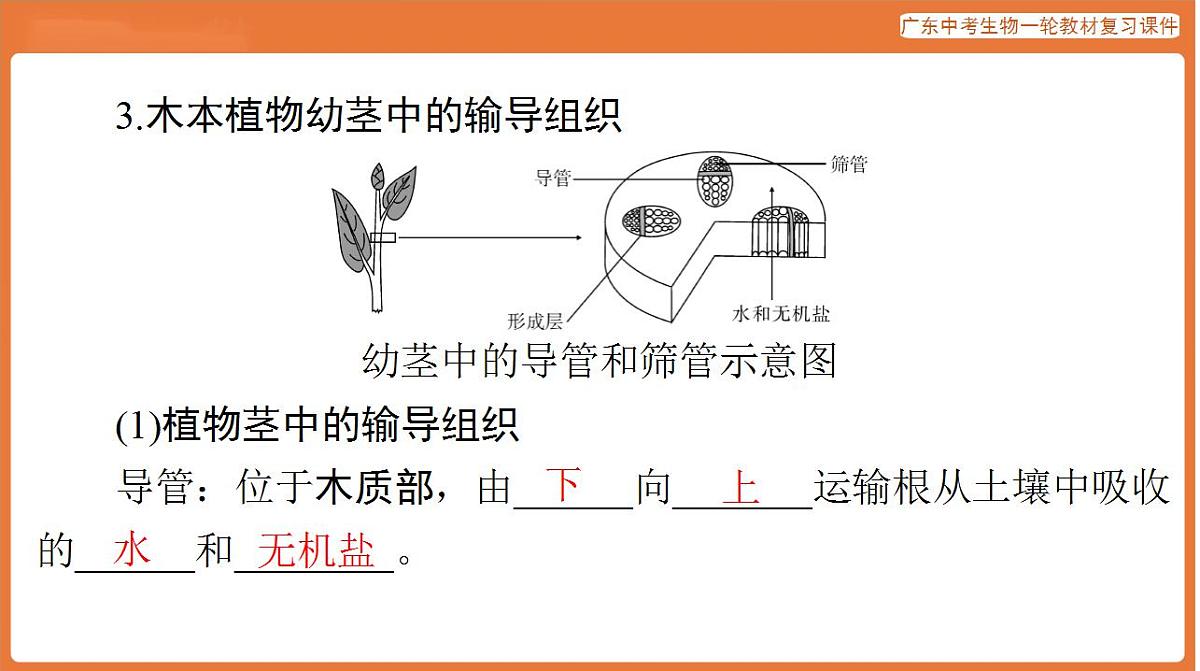 17824215第4页
