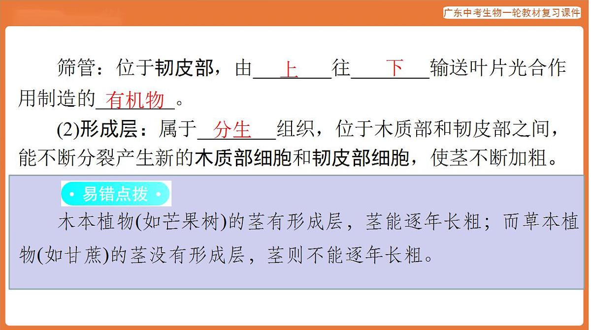 17824215第5页