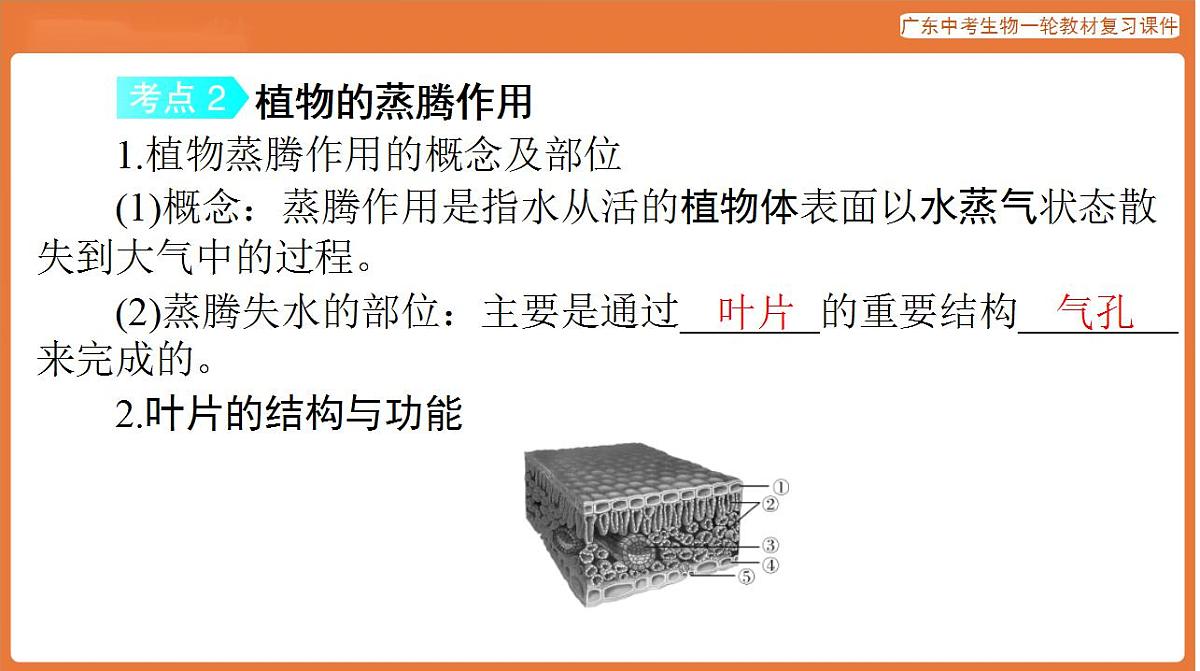 17824215第6页