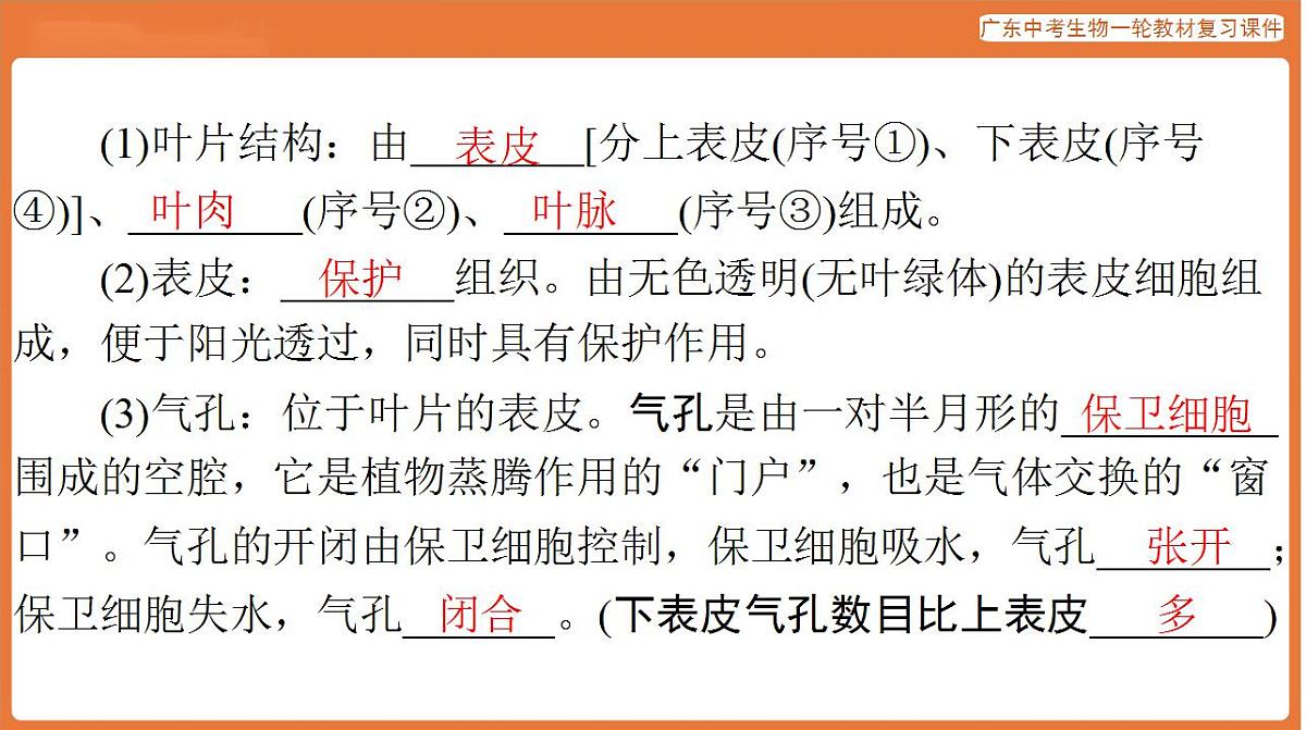 17824215第7页