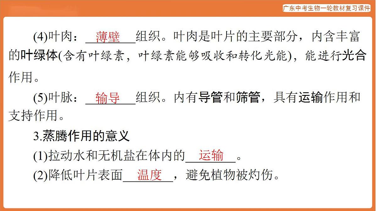 17824215第8页