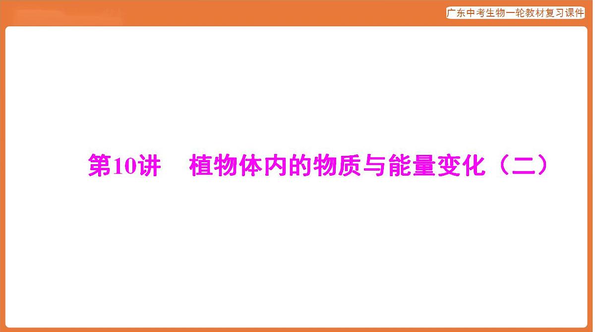 17824216第1页