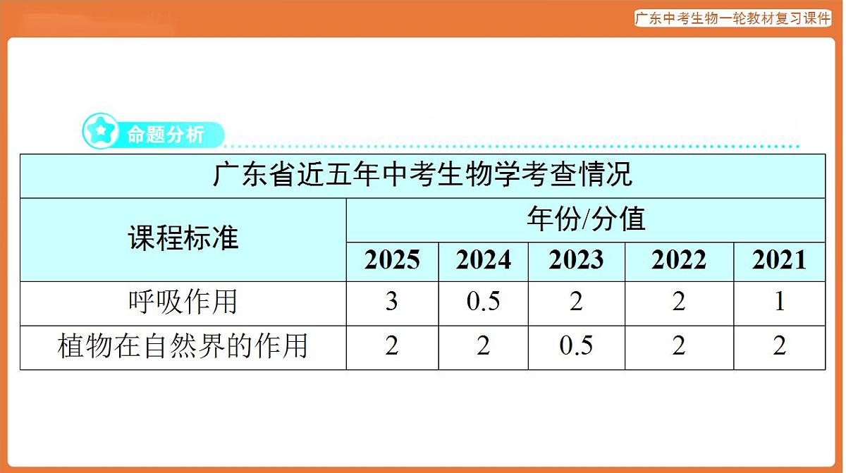 17824216第2页