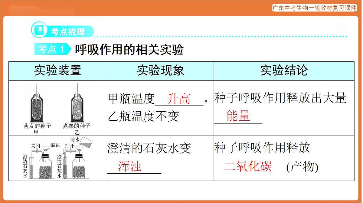 17824216第3页