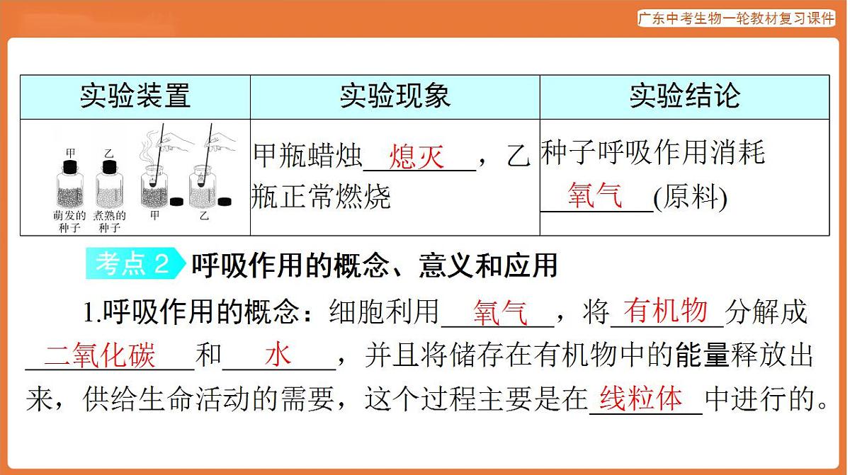 17824216第4页