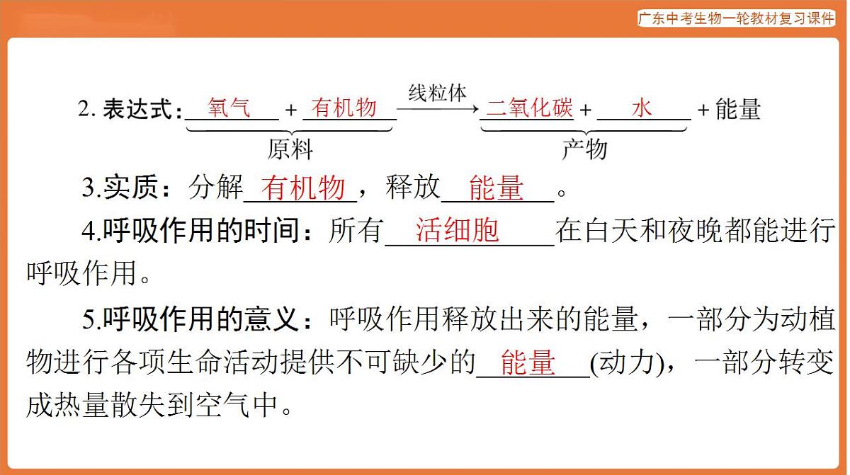 17824216第5页