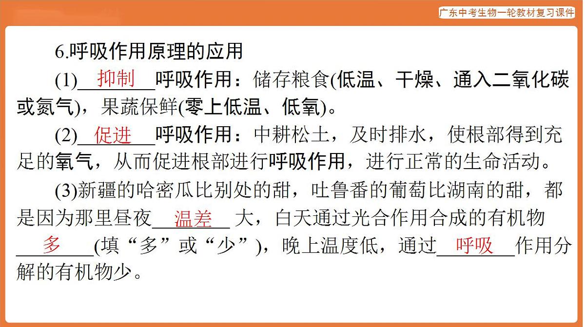 17824216第6页