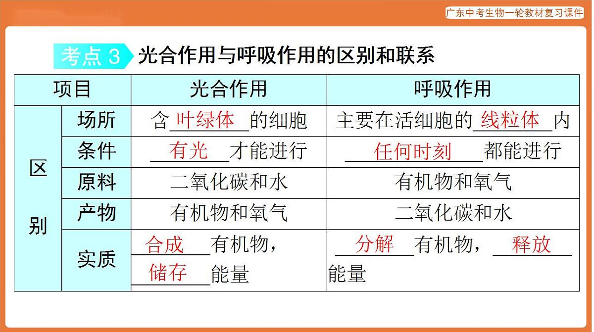 17824216第7页