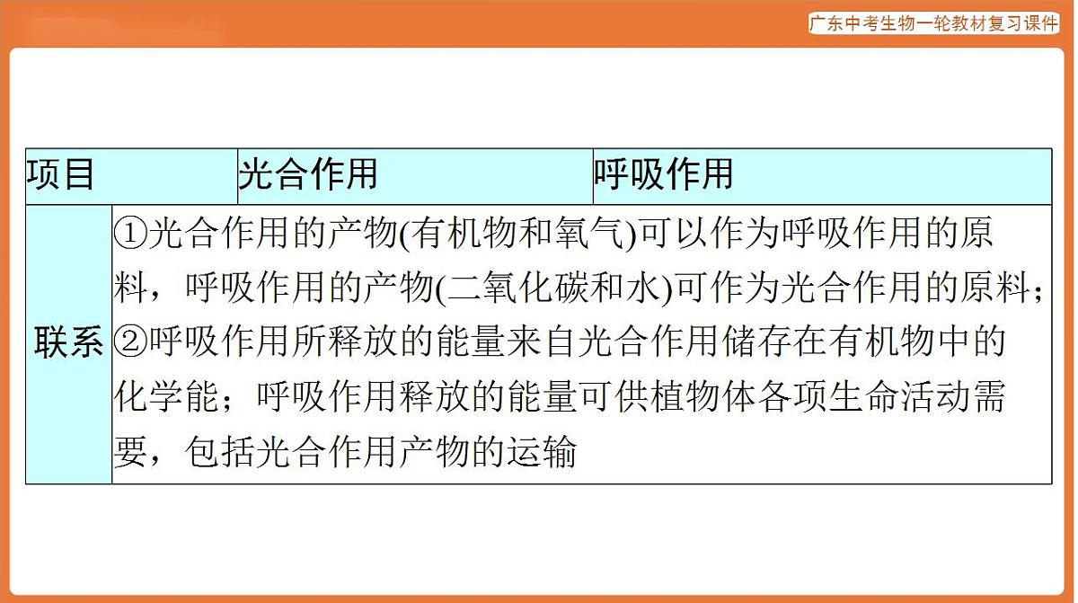 17824216第8页