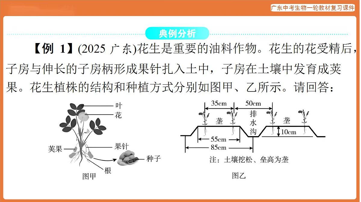 17824217第2页