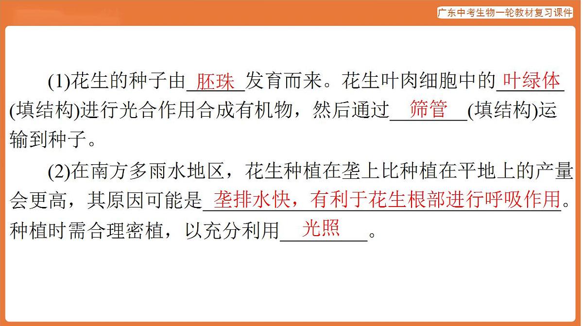 17824217第3页