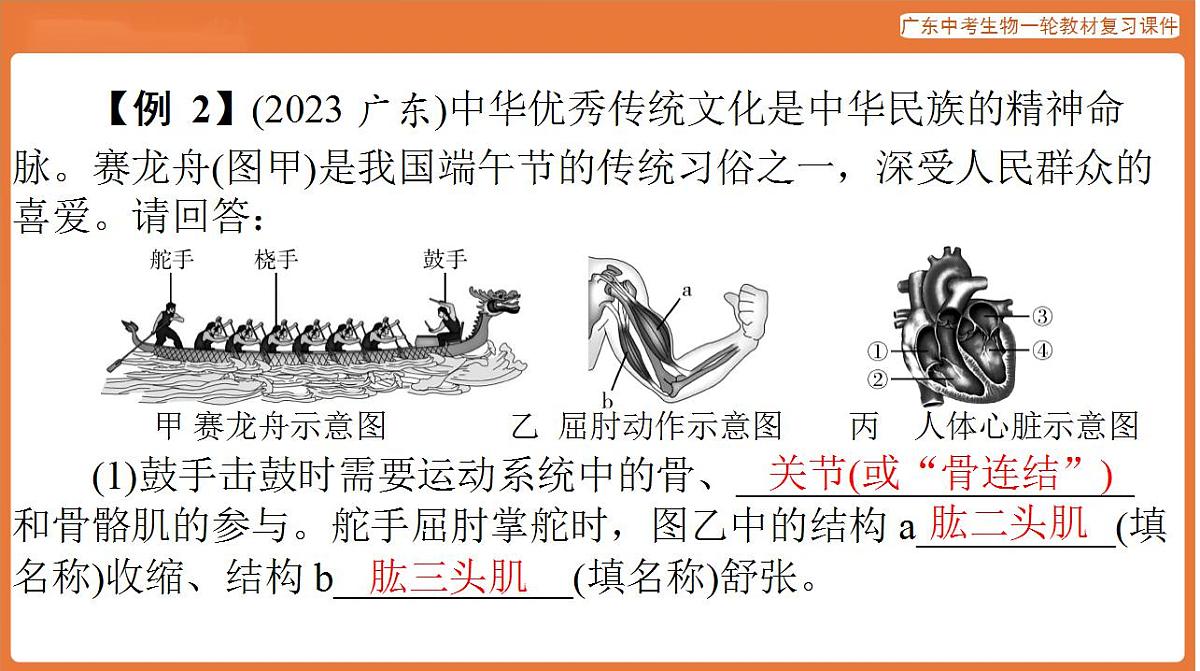 17824217第6页