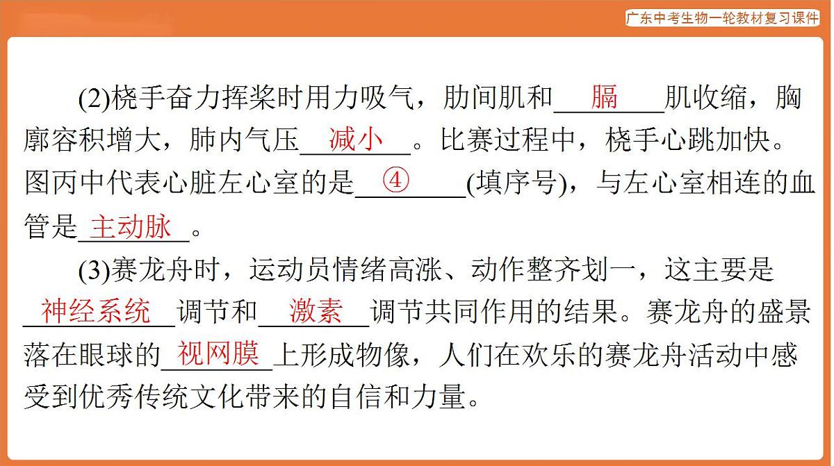 17824217第7页