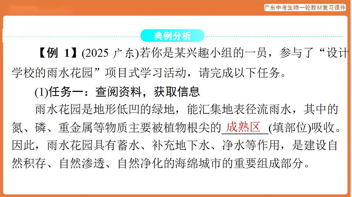17824220第2页