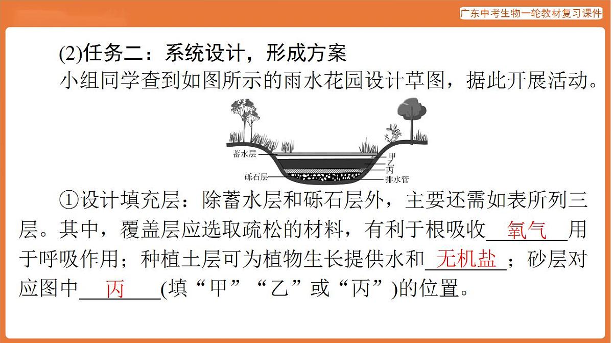 17824220第3页