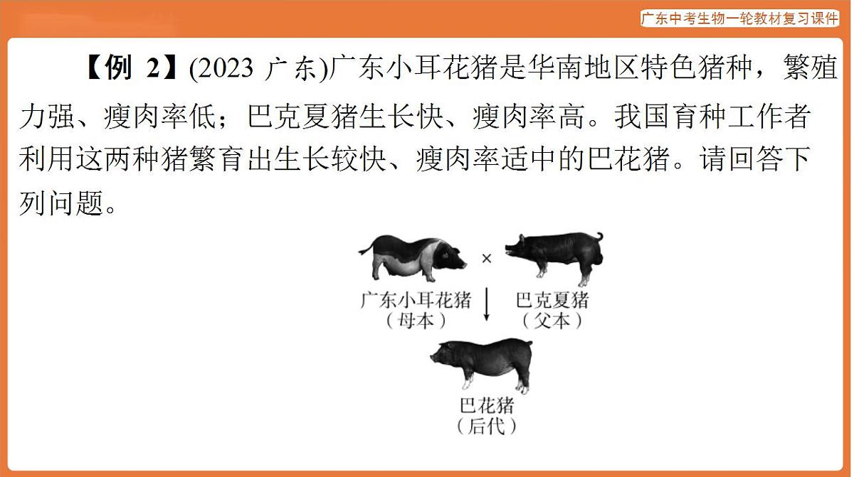 17824220第6页