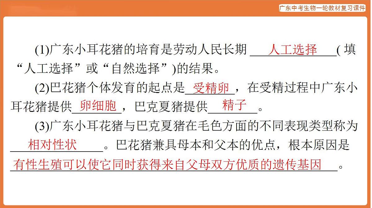 17824220第7页