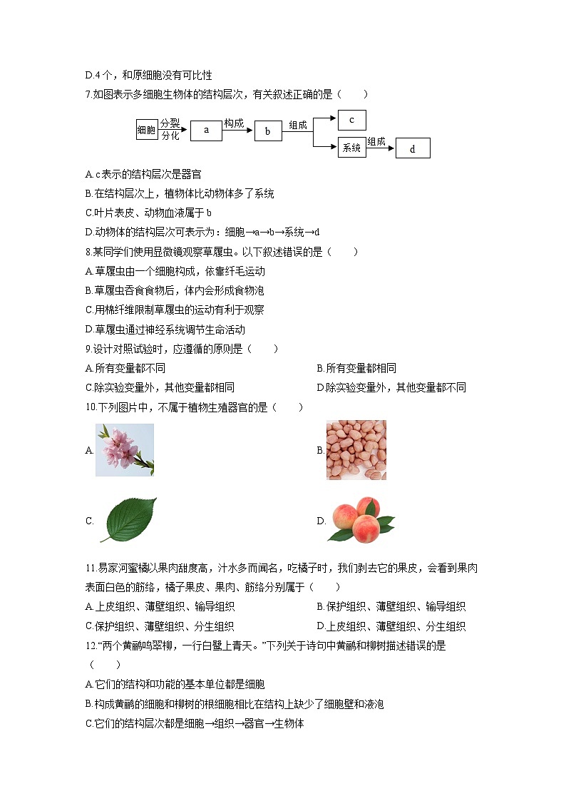 2025-2026学年甘肃省酒泉市肃州区七年级上学期期末考试生物试卷（学生版）第2页
