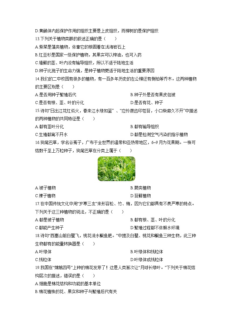 2025-2026学年甘肃省酒泉市肃州区七年级上学期期末考试生物试卷（学生版）第3页