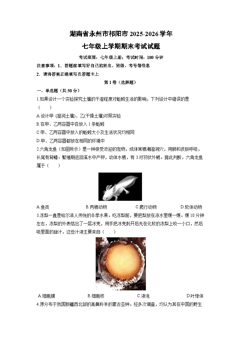 2025-2026学年湖南省永州市祁阳市七年级上学期期末考试生物试卷（学生版）第1页