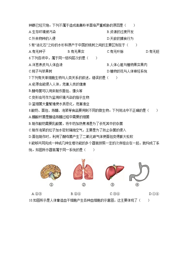2025-2026学年湖南省永州市祁阳市七年级上学期期末考试生物试卷（学生版）第2页